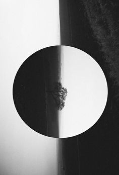 a black and white photo of a tree in the middle of a circle shaped table