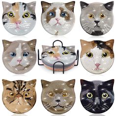 six cat plates with different designs on them