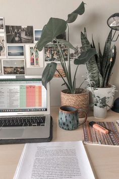 a laptop computer sitting on top of a wooden desk next to a potted plant