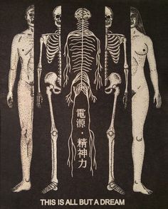 this is all but a dream poster with skeleton and human body in white on black