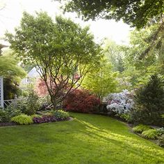 a lush green lawn surrounded by trees and bushes