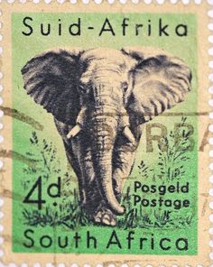 a postage stamp with an elephant on it's front and the words sud - afria