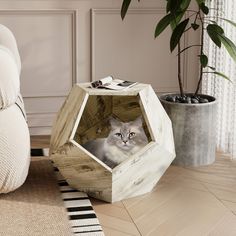 a cat sitting in a wooden box on the floor next to a potted plant