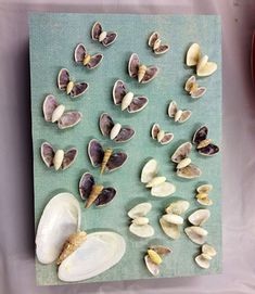 the shells are being cut up and placed on top of each other in order to look like butterflies