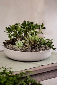 a white bowl filled with plants on top of a table