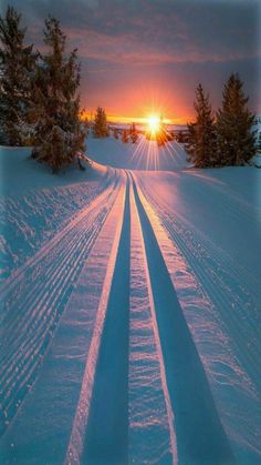 the sun is setting behind some trees in the snowy field with snow tracks on it