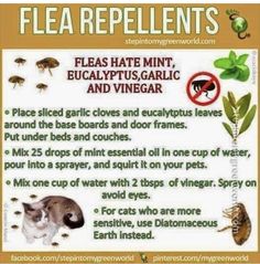 a sign with instructions on how to use flea repellents