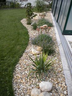 a garden with rocks and plants next to a house