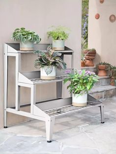 three potted plants are sitting on a shelf