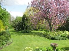 a lush green yard with lots of flowers and trees