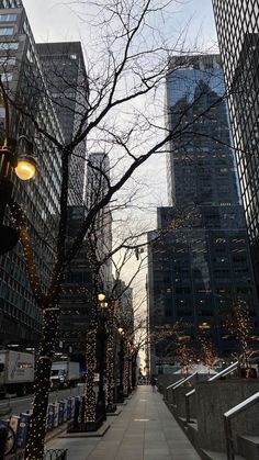 a city street lined with tall buildings covered in christmas lights and lite up trees