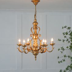 a chandelier with five lit candles hanging from it's center and leaves in the background