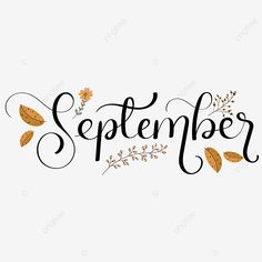 the word september written in calligraphy with leaves and flowers