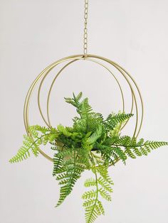 a green plant hanging from a metal ring