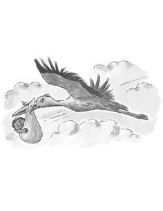 Stork Baby Delivery | Children's Illustrators | Children's Books