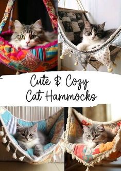 Dishfunctional Designs: Because Every Cat Should Have A Hammock! Diy Cat Hammock For Cage, Cat Hammocks Diy, Window Seat For Cats, Diy Cat Toys To Sell, Fleece Cat Bed Diy, Kitten Setup Ideas, Macrame Cat Hammock Pattern, How To Make A Cat Hammock, Diy Pet Bed Kitty