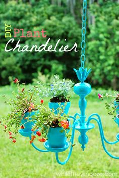 a blue chandelier with potted plants hanging from it's sides and the words, diy plant chandler