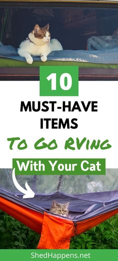 a cat laying in a hammock with text overlay reading 10 must - have items to go rving with your cat