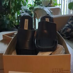 New, Never Worn, Steve Madden Kate Heels. Beautiful Mules With Block Heel! Black, Size 9. Shoes Steve Madden, Mule Clogs, Steve Madden Shoes, Mules Shoes, Steve Madden, Block Heels, Clogs, Women Shoes, Heels