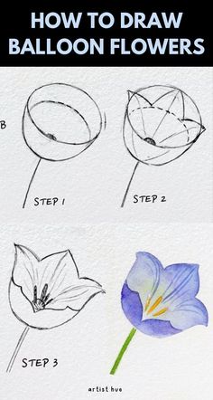 how to draw balloon flowers step by step