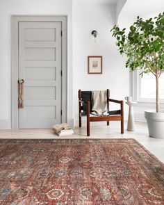 a room with a rug, chair and potted plant