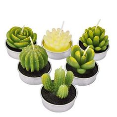 6 Pack Succulent Cactus Tea Lights Candles Delicate Candles for Home Decor   Features: 【Package Include】- 6 pcs cactus tealight candles in a box, each has a different cute plant design. 【Tealight Candles】- Made of quality paraffin wax candles material without producing black smoke, the holder at the bottom make sure it won’t spilling everywhere while burning,keep your place clean and convenient for you to change their place. 【Lasting burning time】- Each Flameless candle has 3-4 hours burning tim Creation Bougie, Cactus Candles, Succulents Candles, Soya Mumu, Paraffin Wax Candles, Spa Home, Novelty Candles, Tealight Candles, Cute Candles