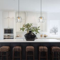 a kitchen with four stools and a large potted plant on the center island