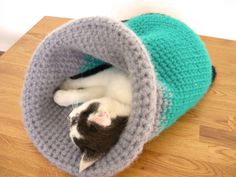 a cat laying in a crocheted tunnel on top of a wooden table next to a wall