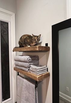 a cat sitting on top of a wooden shelf next to folded towels and towel racks