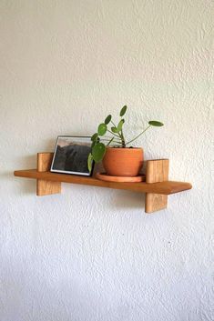 a potted plant sitting on top of a wooden shelf next to a framed photo