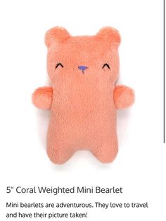 a pink teddy bear with the caption 5 coral weighted mini bearet