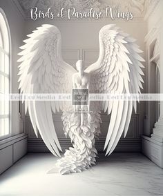 a white angel statue in an empty room with the words birds of paradise wings above it