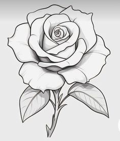 Rose Flower Drawing Design, Rose Tattoo Stencil Outline, Pink Rose Drawing, Drawings Of Roses, Rose Outline Drawing, Rose Flower Drawing, Rose Drawings, Rose Drawing Simple, Rose Tattoo Stencil