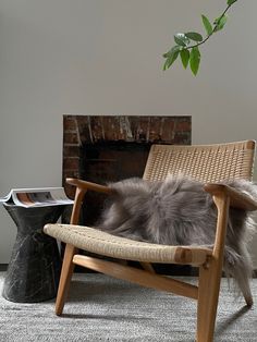 a cat is laying on a chair in front of a fire place and potted plant