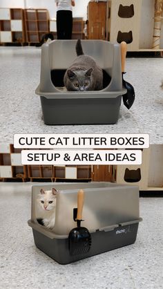 the cat litter box is set up and ready to be used as a pet bed