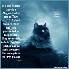 a black cat sitting on top of a rock under a cloudy sky with the caption in celtic folklore