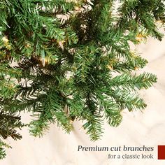 the branches of a pine tree are covered in snow and brown lichens, with text overlay that reads premium cut branches for a classic look