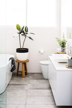 a white bathroom with a plant in the corner