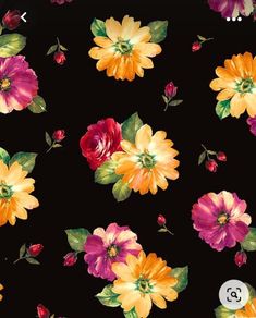 an image of colorful flowers on black background