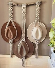 three hats are hanging on the wall next to a potted plant and hat rack