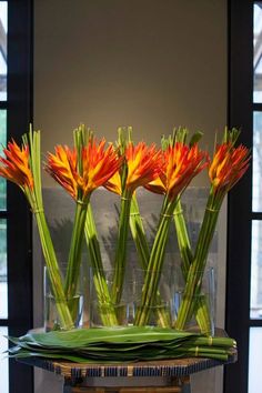 there are many flowers in the vases on the table and one flower is orange