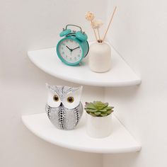 two white shelves with an owl, clock and succulents