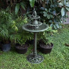 a bird bath in the middle of some potted plants