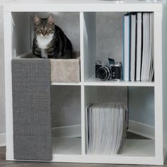 a cat sitting on top of a book shelf