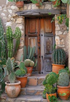 many cactus plants are growing in front of a wooden door and stone steps leading up to it