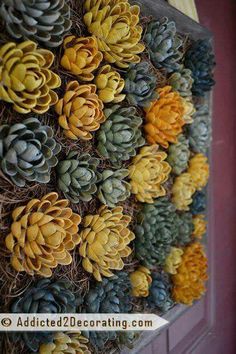 a bunch of pine cones are hanging on the wall