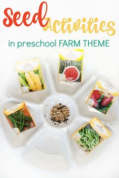 seed activities in preschool farm theme with text overlay that reads, seed activities in preschool farm theme