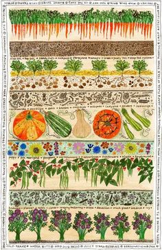 an art work with vegetables and herbs on it, including carrots, onions, squash,