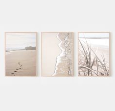 three framed photographs hanging on the wall next to each other with footprints in the sand