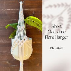 a macrame plant hanger hanging from a wooden wall next to a potted plant